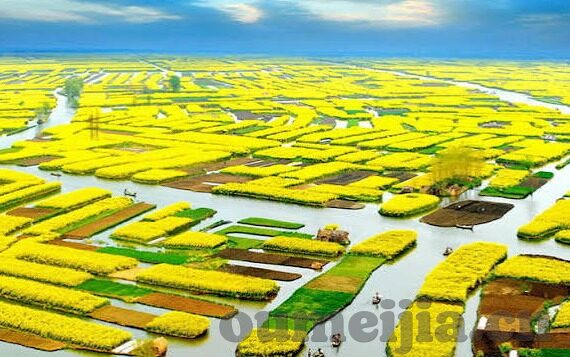 最近2019年中文字幕完整版免费-2019年经典影片，免费中文字幕完整版观影指南